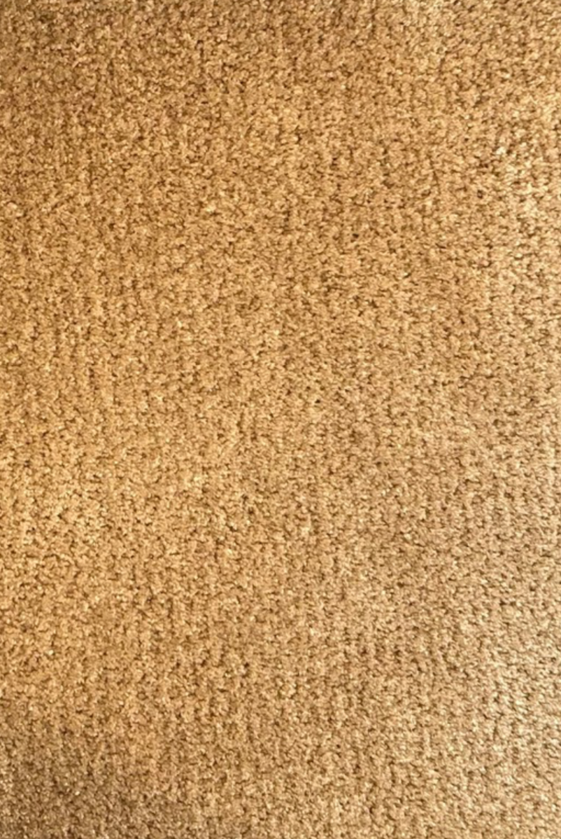 Camel Gold